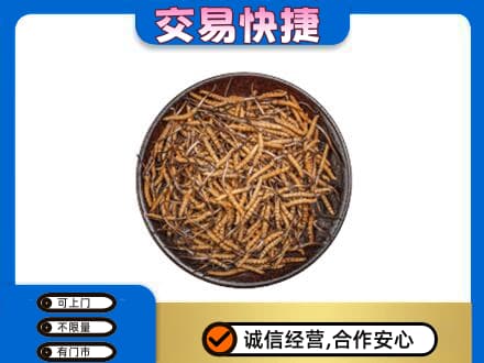 上海虹口区回收散虫草